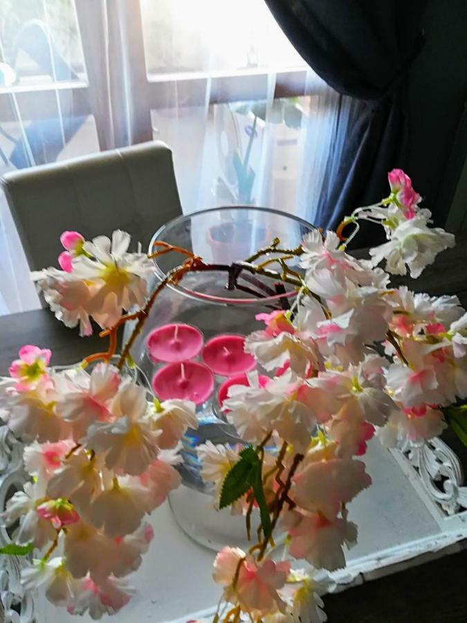 Airport & Fair Suite Apartments フィウミチーノ エクステリア 写真